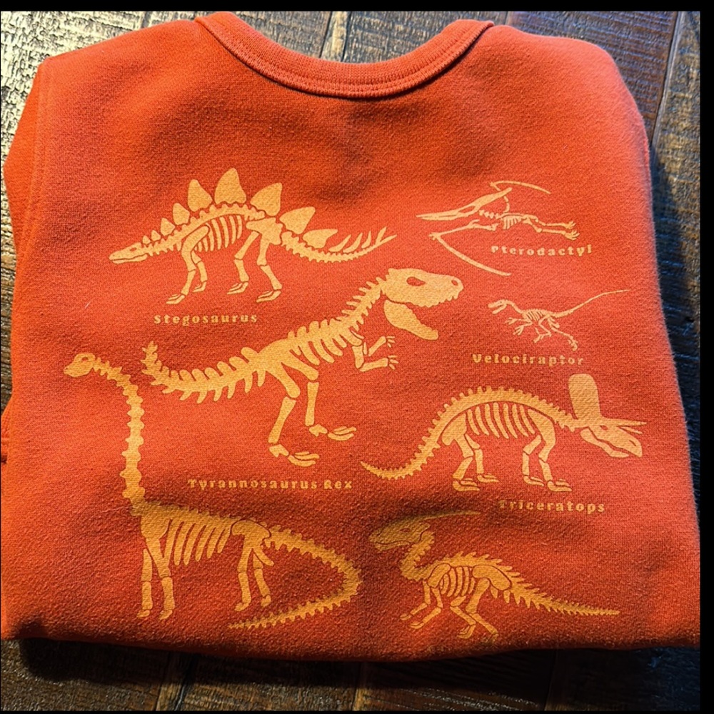 Gap dinosaur sweatshirt (5 years toddler)